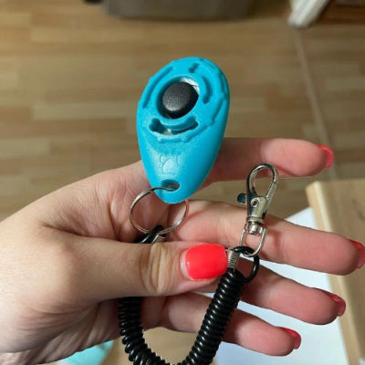 Clic d'apprentissage chien TrainingClic bleu maison chien
