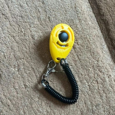 Clic d'apprentissage chien TrainingClic jaune chien