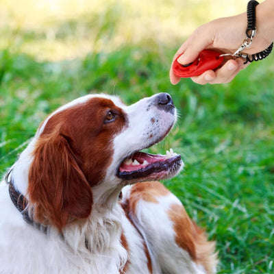 Clicker chien DogTrainingClicker couleurs, rouge chien