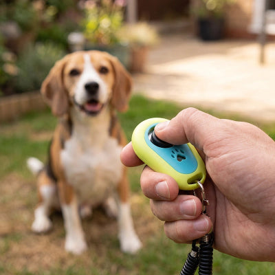 Clicker chien EffectiveTraining vert clair assis chien