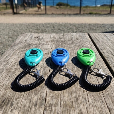 Clicker chien PositiveTraining vert bleu clair chien