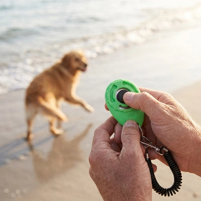 Clicker chien PositiveTraining vert marche chien