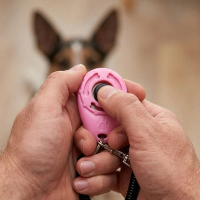Clicker chien ProfessionalDog rose arrêter chien