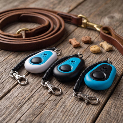 Clicker chien TheProfesTraining blanc noir bleu chien