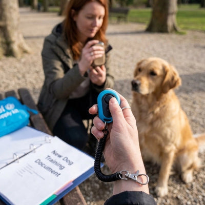 Clicker chien TheProfesTraining bleu assis brun chien