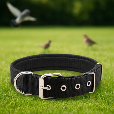 Collier chien DogsWithCollar noir chien