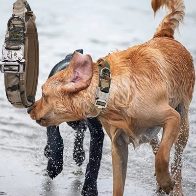 Collier chien cuir LeatherDog collars camouflage chien