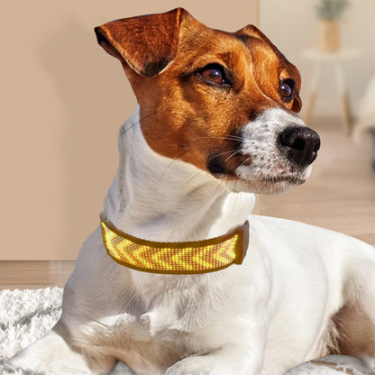 Collier chien lumineux | LumiDog™