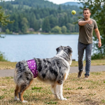 Couche chien HighlyComfortable violet lac chien