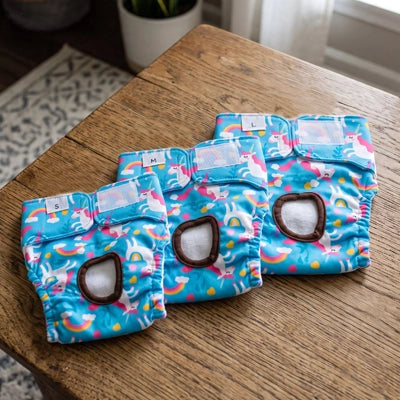 Couche pour chien AbsorbentComfortable bleu chien