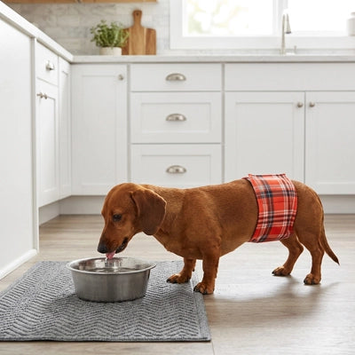 Couche pour chien UltraAbsorbants rouge debout chien