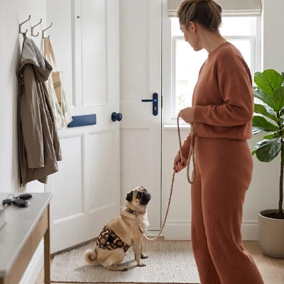 Couche pour chien UltraComfortable brun assis chien