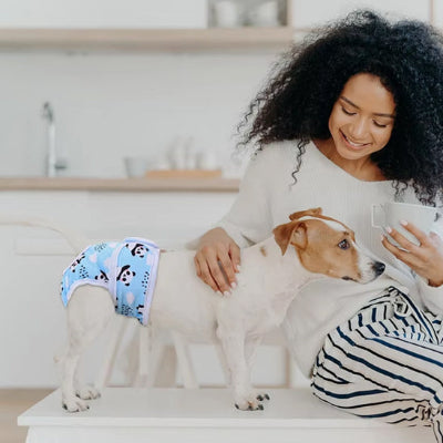 Couches chiens DogCoat bleu blanc chien