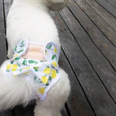 Couches chiens DogPy blanc jaune chien