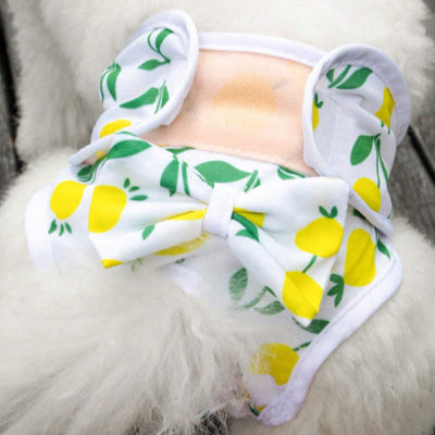 Couches chiens DogPy jaune et blanc chien