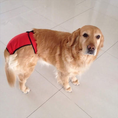 Couches chiens ForDog rouge brun chien