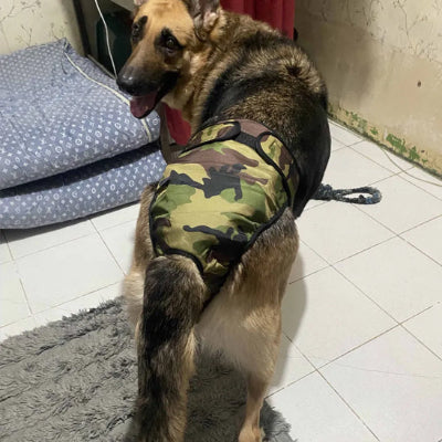 Couches chiens ForDog vert noir chien
