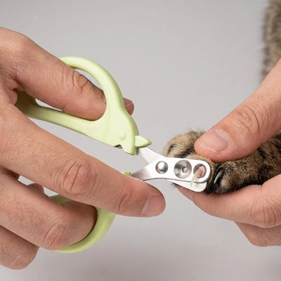 Coupe griffe chien ProfessionalExpert vert, coupe une patte chien