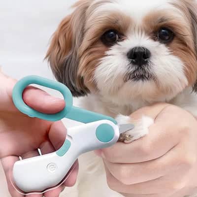 Coupe griffe chien Safeguarded bleu assis blanc chien