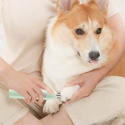 Coupe griffe pour chien ExpertSecure vert assis chien