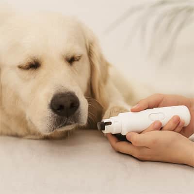 Coupe griffe pour chien HighlySecure blanc chien