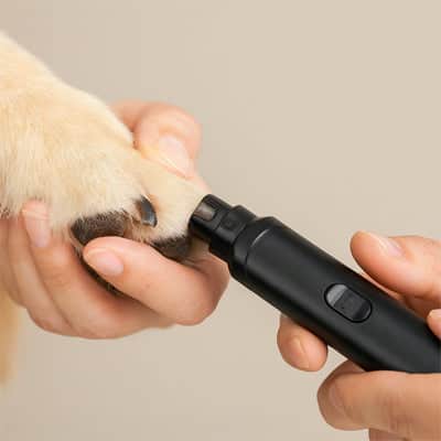 Coupe griffe pour chien HighlySecure noir chien