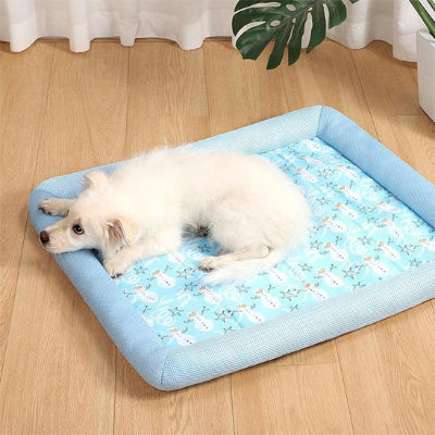 Coussin chien CushionsArmchair blanc coucher bleu chien