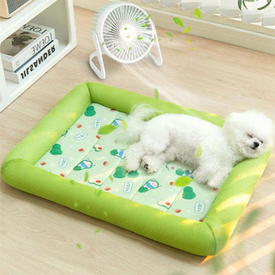 Coussin chien CushionsArmchair blanc vert chien