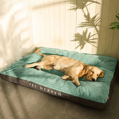 Coussin chien Ergonomique vert salon coucher brun chien