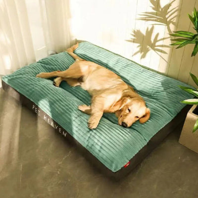Coussin chien ErgonomiqueDog vert salon brun coucher chien