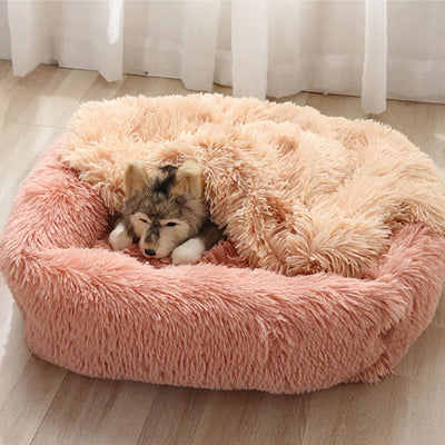 Coussin chien déhoussable DogCushion orange brun chien