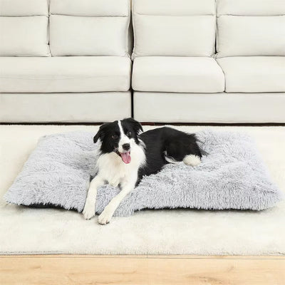 Coussin pour chien PillowDog gris blanc noir chien