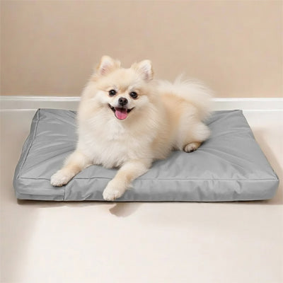 Coussin pour chien UltraMoelleux gris assis salon blanc chien
