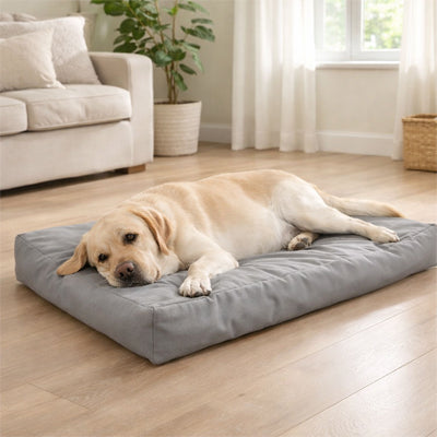 Coussin pour chien UltraMoelleux gris coucher brun chien
