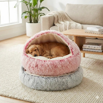 Coussins pour chien PillowsDog rose coucher brun chien