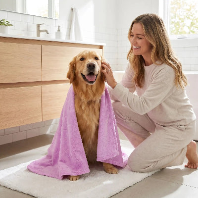 Couverture pour chien DogBedding violet assis brun chien