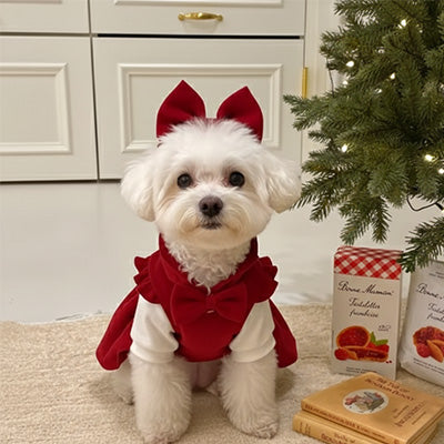 Déguisement chien ComfortOriginal rouge tapis chien