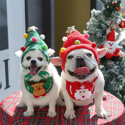 Déguisement chien DogsCostume vert et rouge chien
