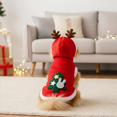 Déguisement chien OriginalParty Sapin Noël sofa chien