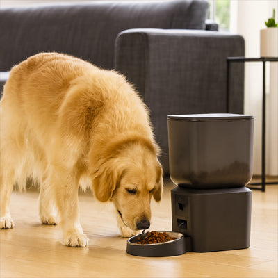 Distributeur automatique croquettes PeDer brun noir salon chien