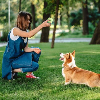 Distributeur d'aliments pour chien PetFoodBall brun assis jouet chien