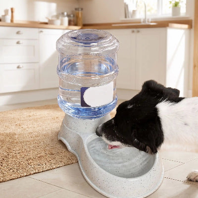 Distributeur de croquettes CroDis gris noir chien