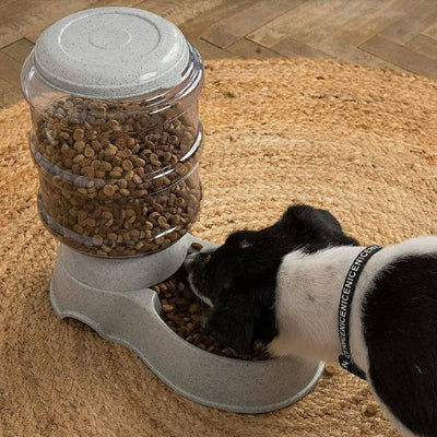 Distributeur de croquettes CroDis noir, manger, chien