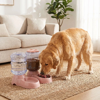 Distributeur de croquettes CroDis rose brun chien