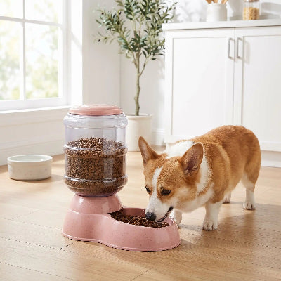 Distributeur de croquettes CroDis rose chien