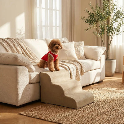 Escalier chien SecureStorage gris assis brun chien