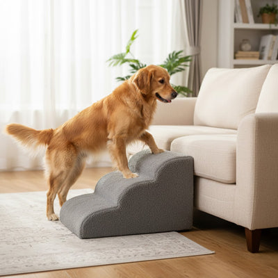 Escalier pour chien JointSupport gris monté sofa chien