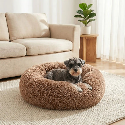 Fauteuil pour chien DogChair brun chien