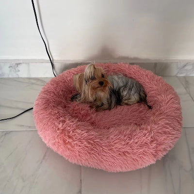 Fauteuil pour chien rouge foncé chien