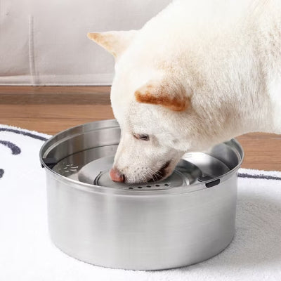 Gamelle anti éclaboussure SplashBowl blanc boire chien
